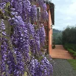 Casetta *